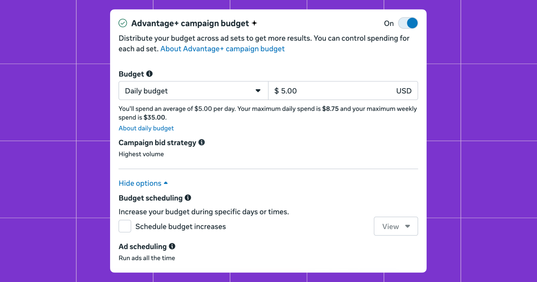 Screenshot of Advantage+ campaign budget options 