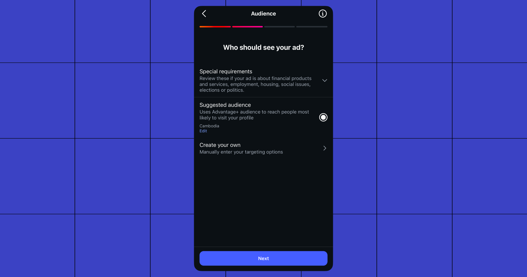 Screenshot of Audience options: "Who should see your ad?"