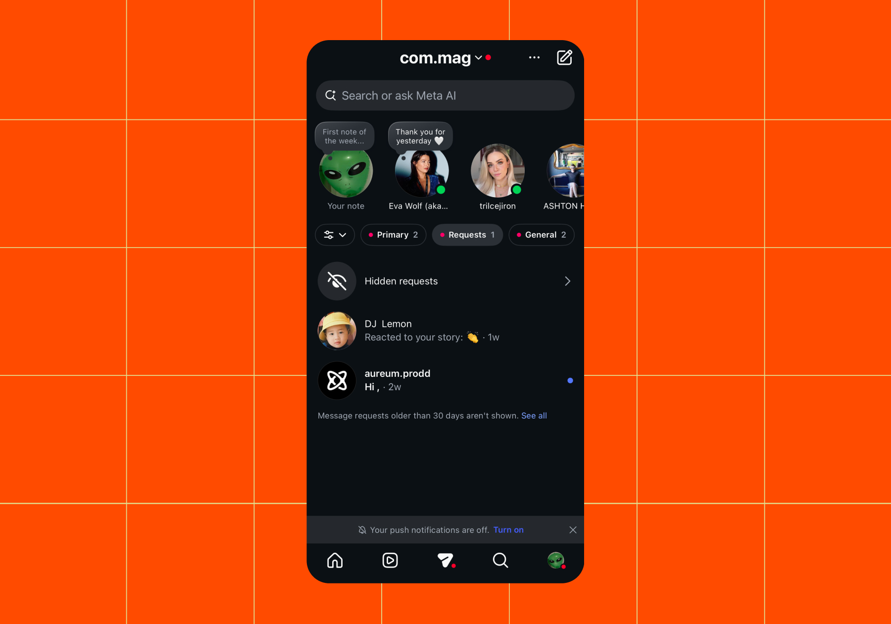 Screenshot of the Requests tab in your Instagram inbox 