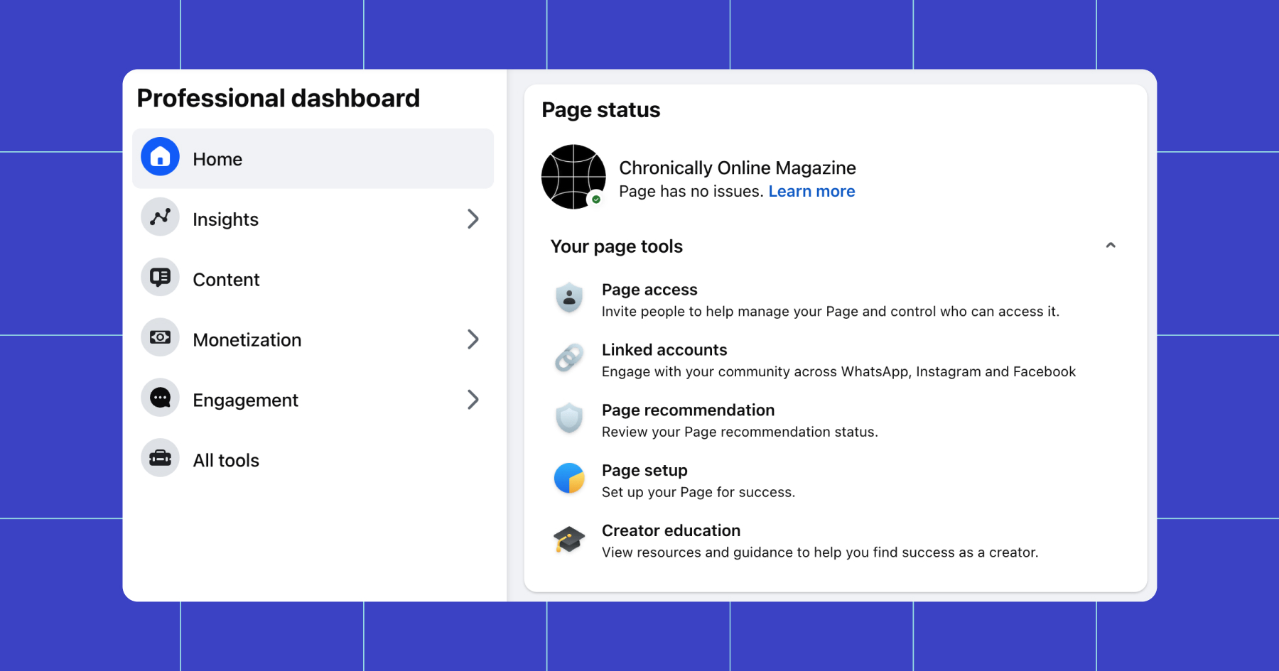 Screenshot of the Professional Dashboard in Meta Business Suite as seen using the Chronically Online Magazine account 