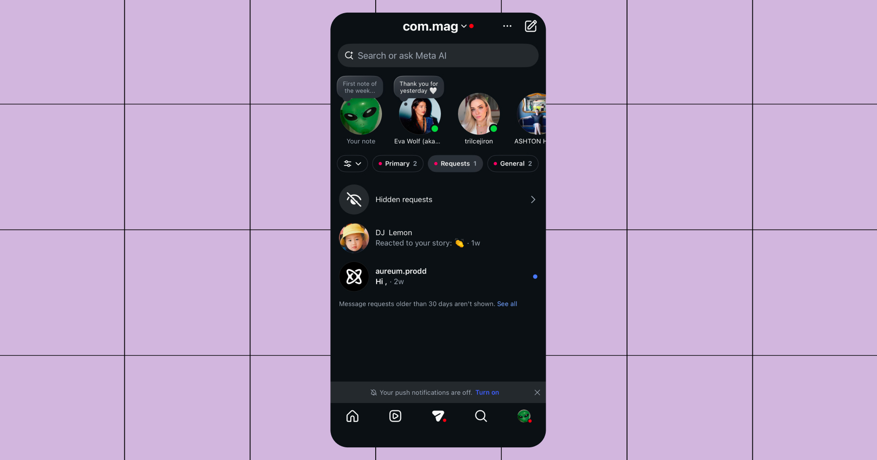 Screenshot of the "Requests" tab in the Instagram inbox