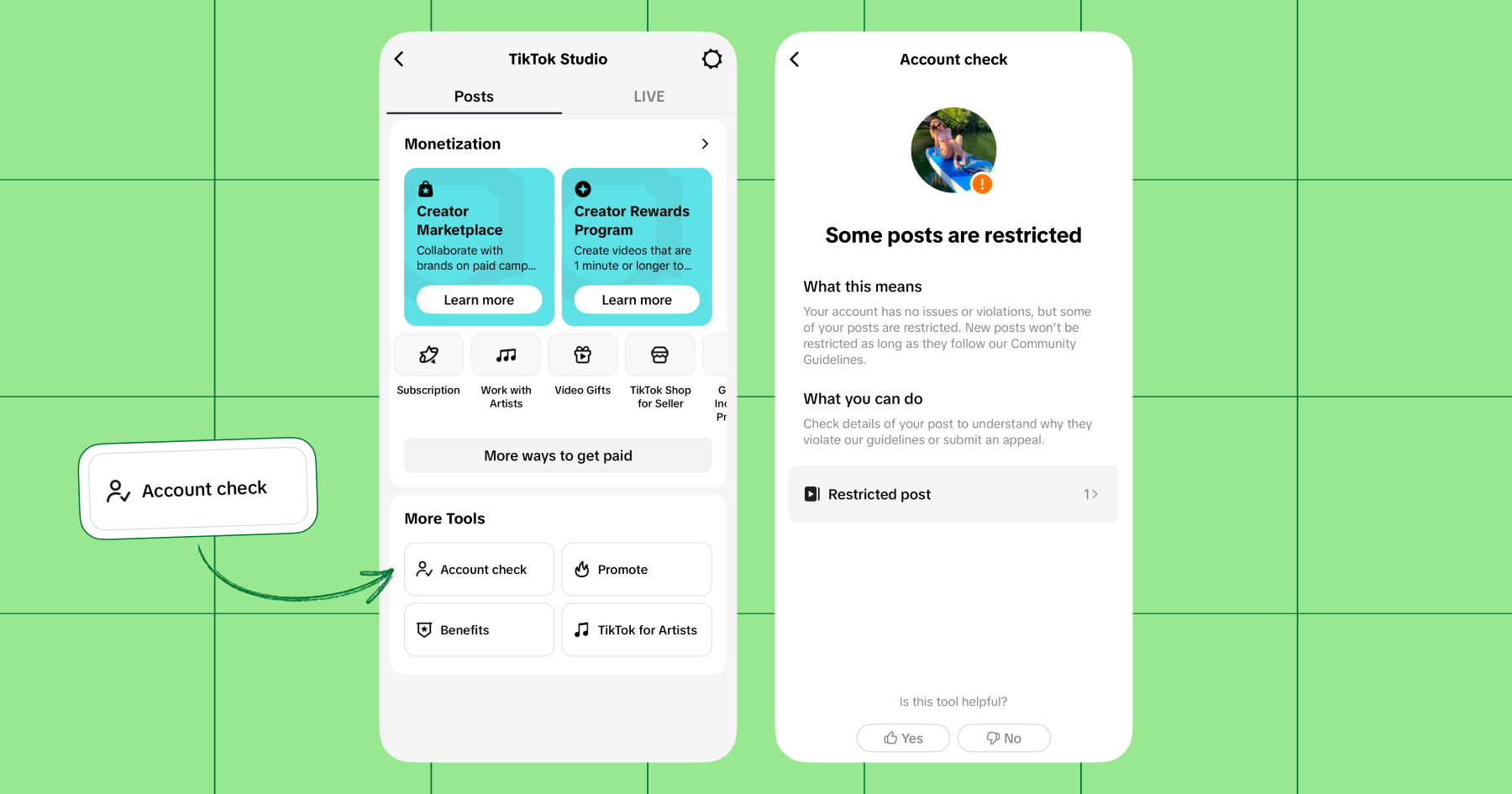 Screenshot of TikTok Studio. Under Posts check "Account check". This screenshot says "Some posts are restricted" and explains "What this means" and "What you can do". You can click on restricted posts to learn more about why TikTok flagged them.