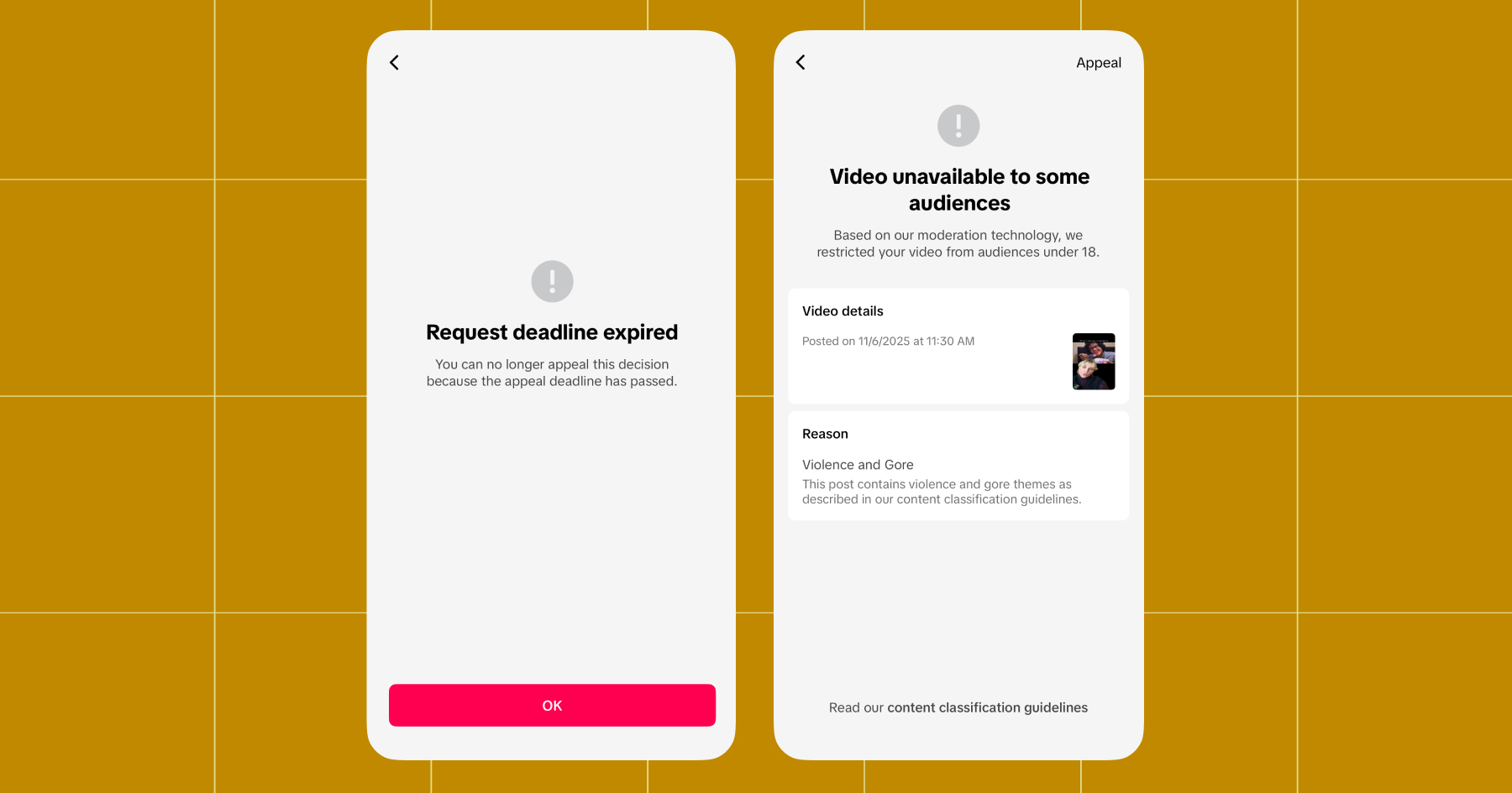 Screenshots from TikTok of messages reading 1. "Request deadline expired. You can no longer appeal this decision because the appeal deadline has passed." and 2. "Video unavailable to some audiences. Based on our moderation technology, we restricted your video from audiences under 18." More details are available under "Video details" and "Reason".