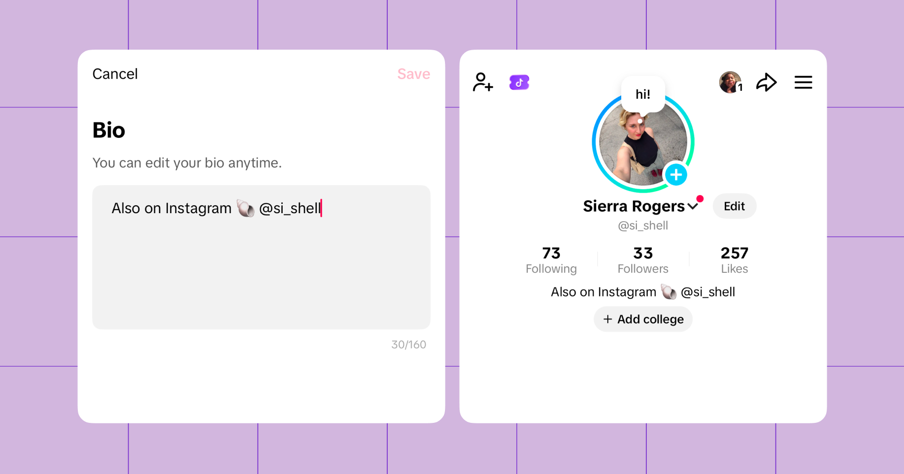 Screenshot of adding an Instagram handle to a TikTok bio