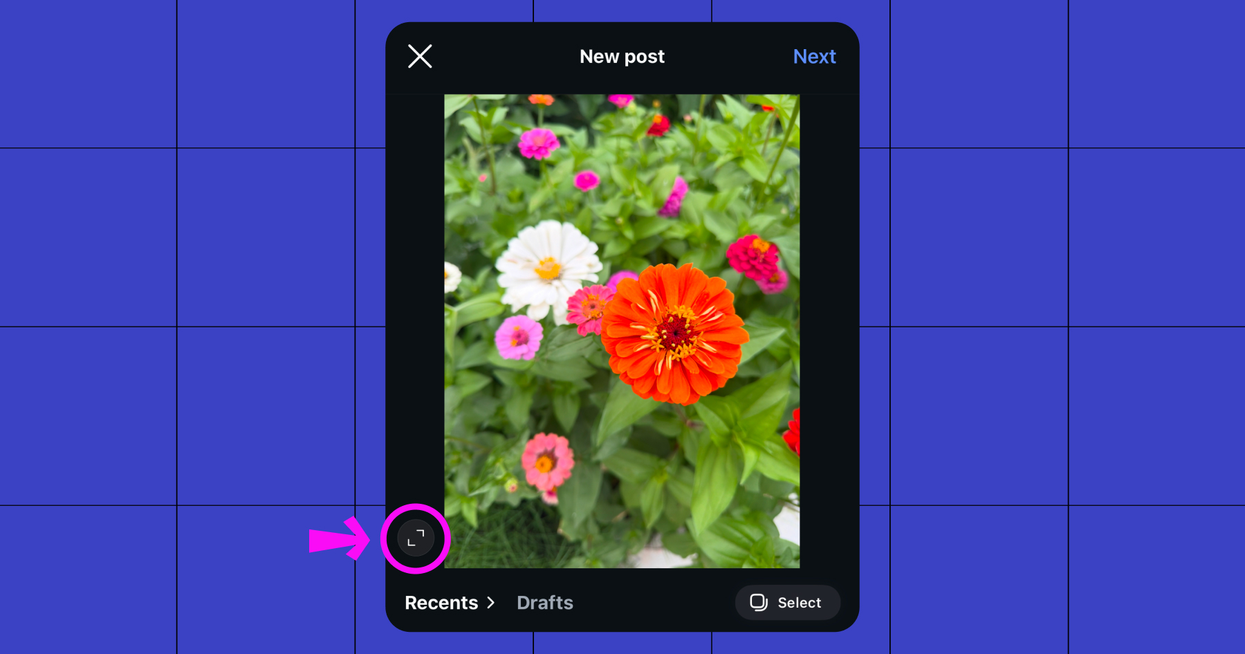 Screenshot of the expand/full-size icon in the lower-left corner of an image that lets you restore the original aspect ratio.