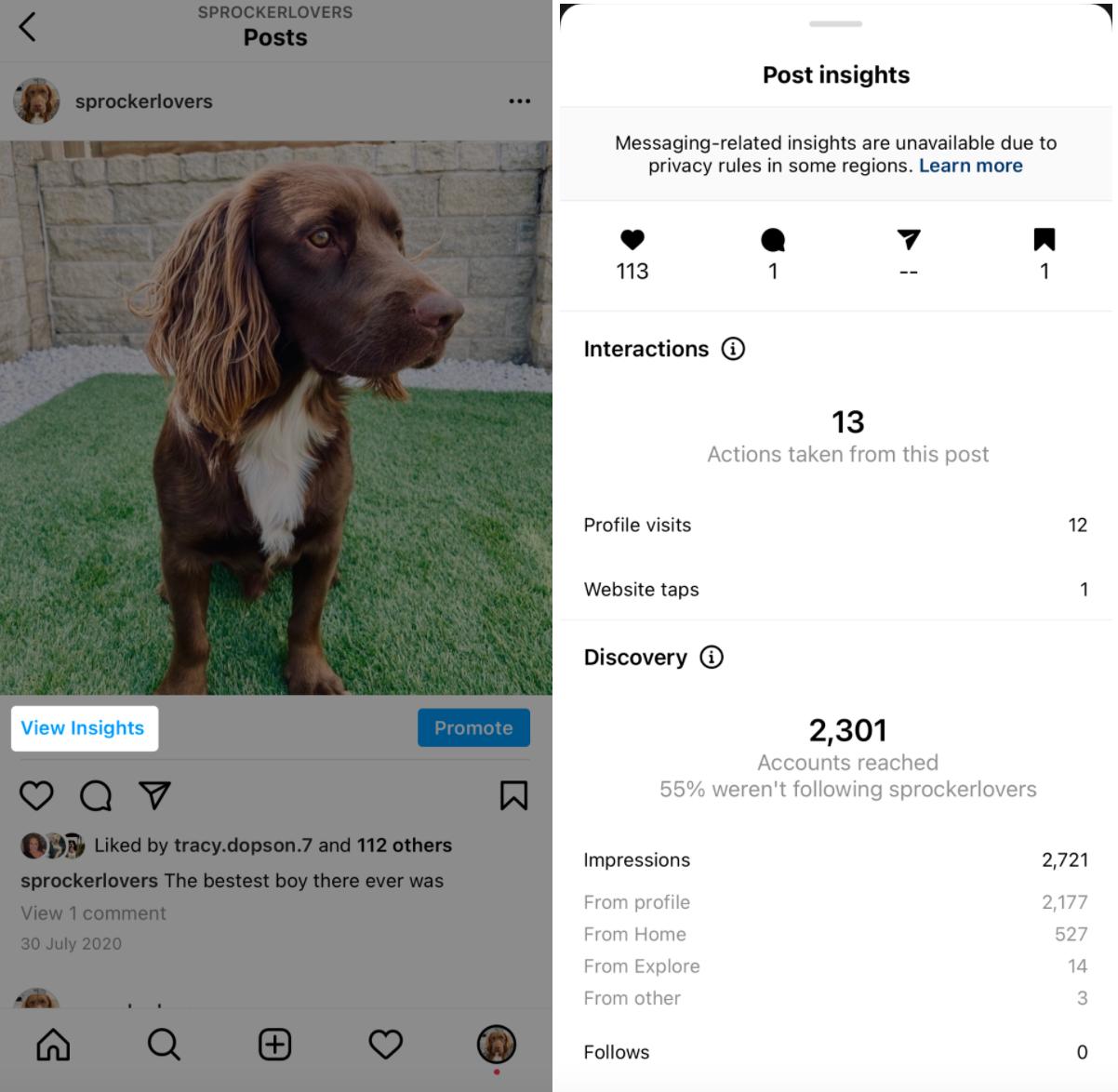 instagram insights for target audience research