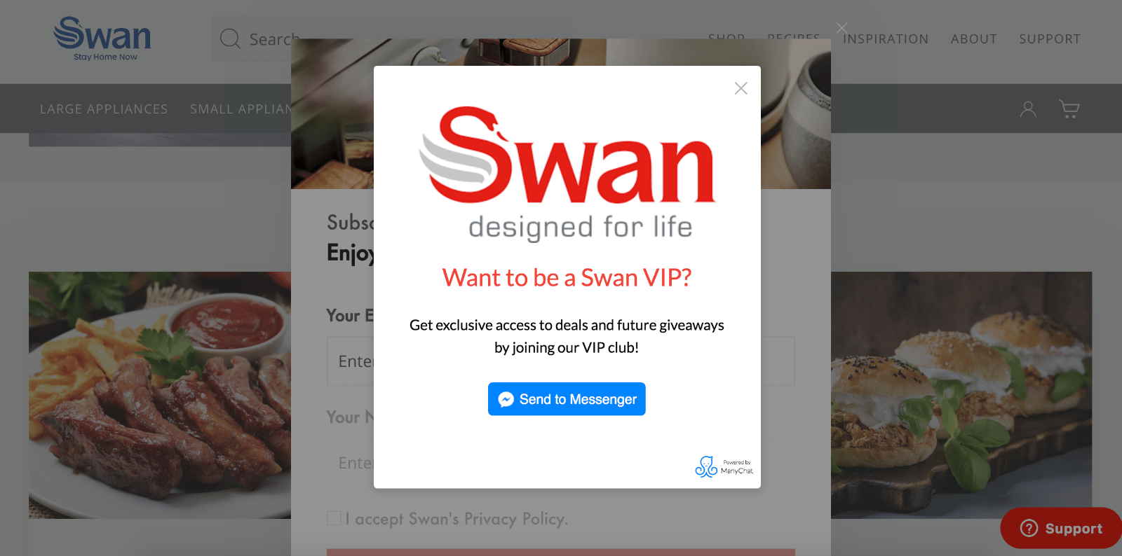 Facebook modal widget example: Swan