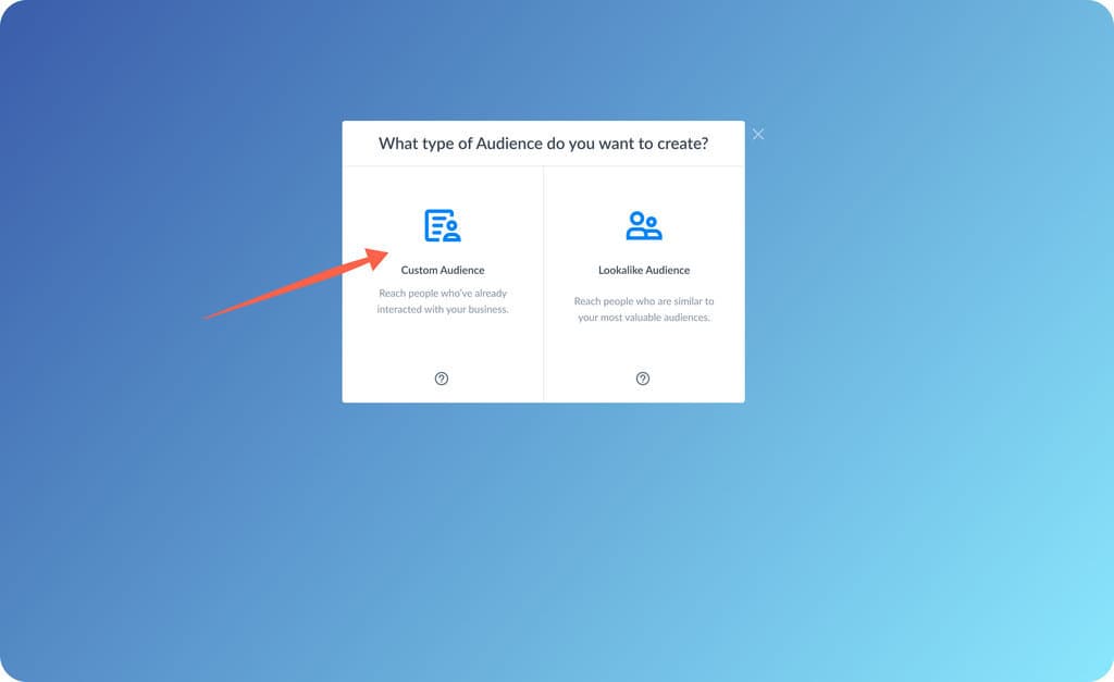 Choosing custom audience