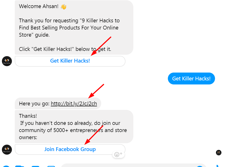 Messenger Lead Qualifying Flow | WithinTheFlow