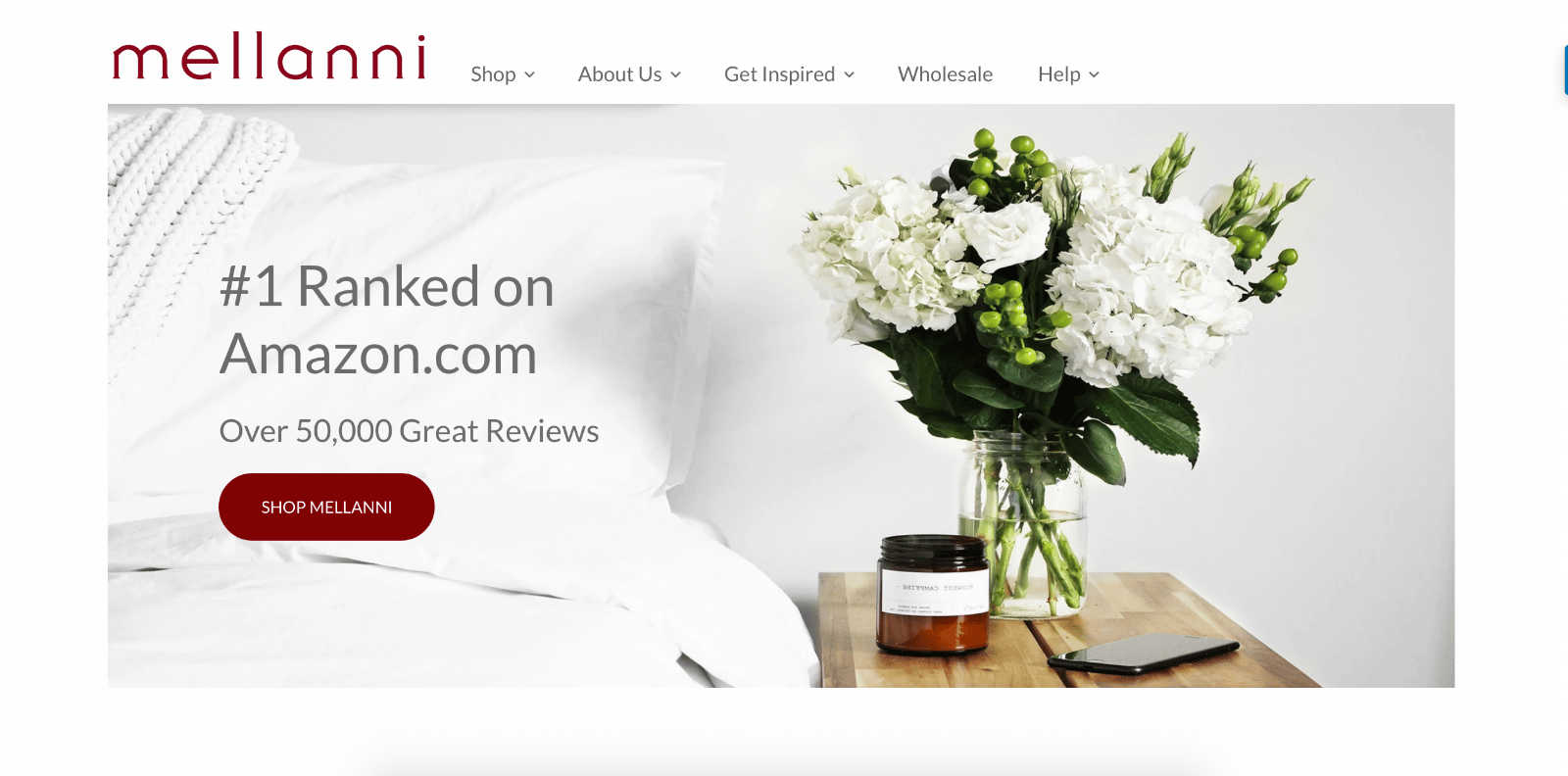 Mellani Unique Value Proposition Example