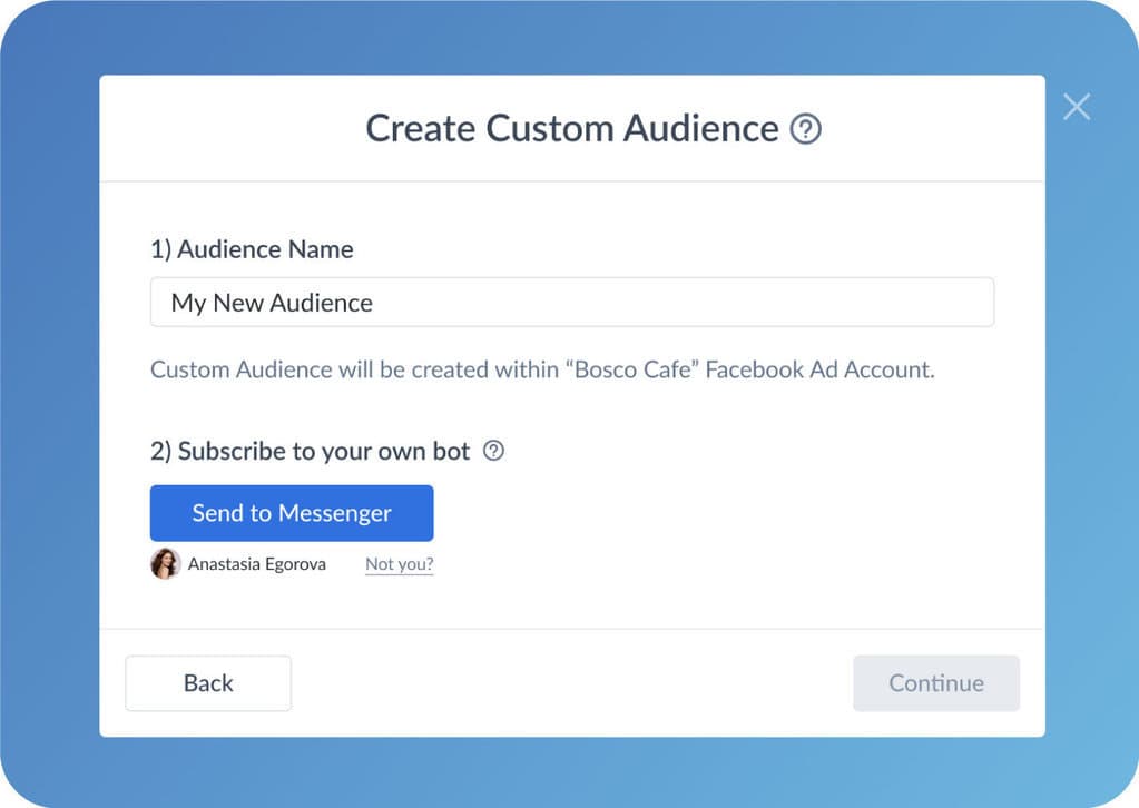 Naming custom audience in manychat