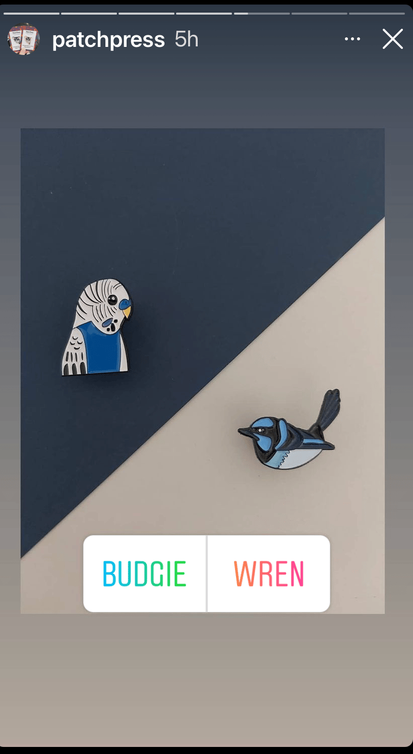 instagram polls