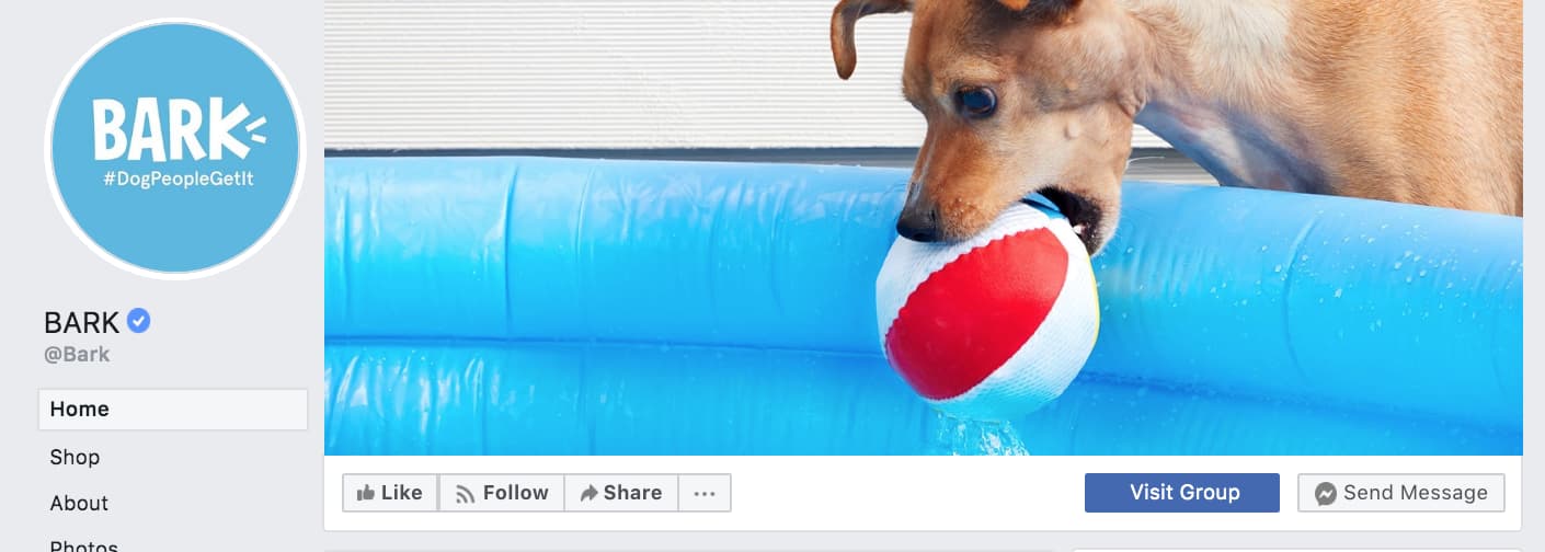 Facebook lead generation from Facebook Page Example