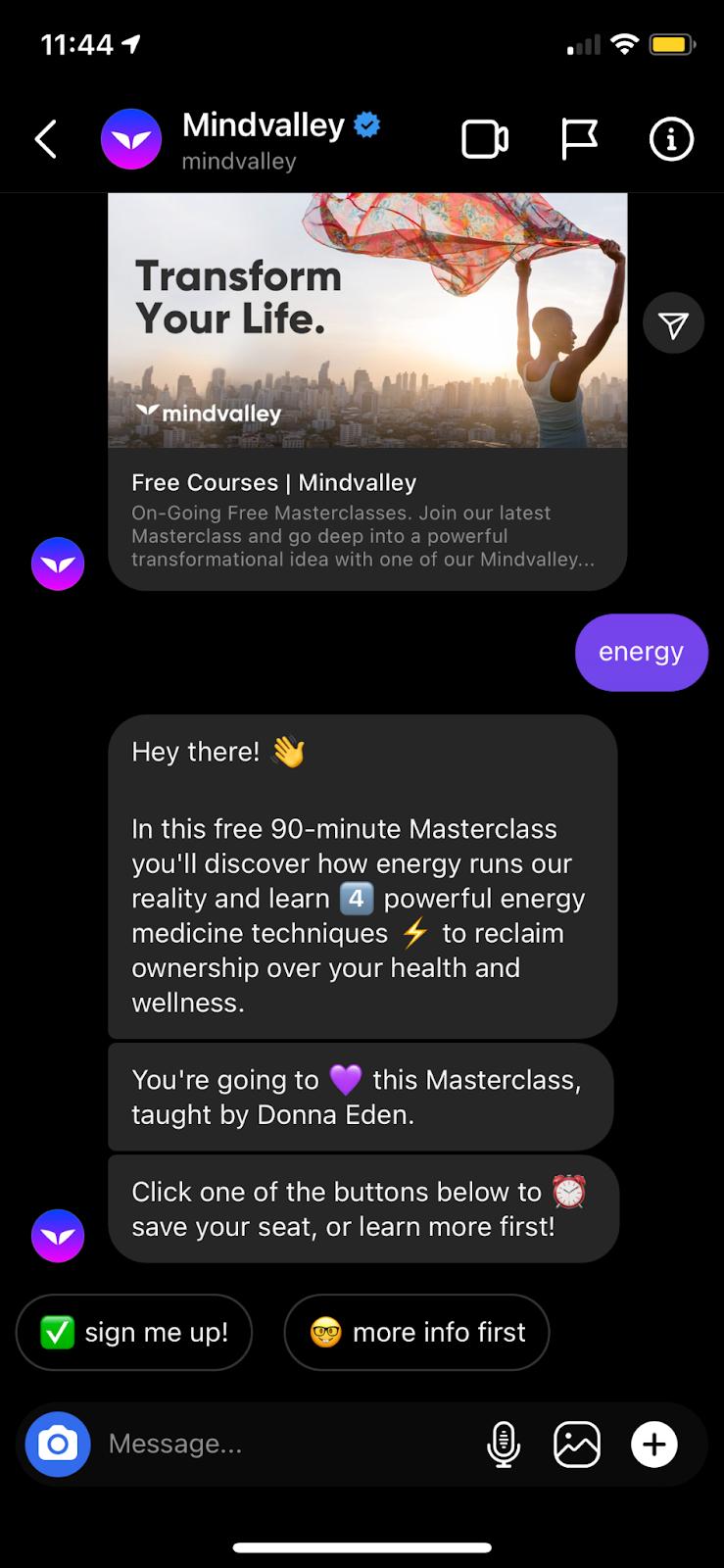 manychat example