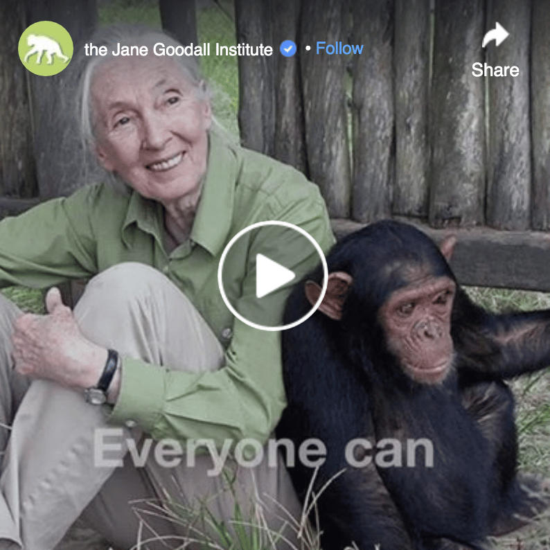 Facebook video ad example