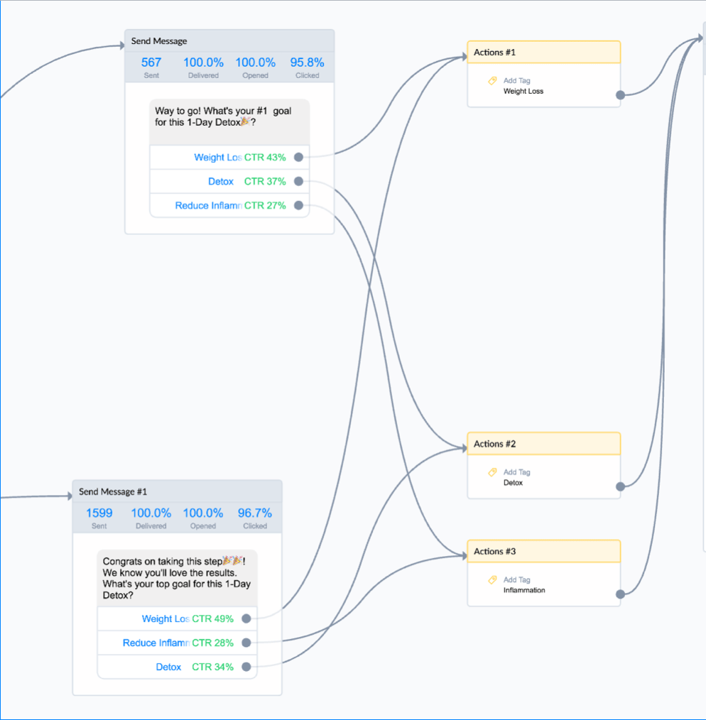 Organifi's Manychat flow for their Facebook chatbot 1-day detox Lead Magnet