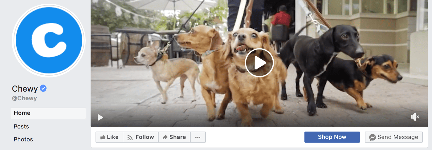 Chewy cover photo on Facebook business page