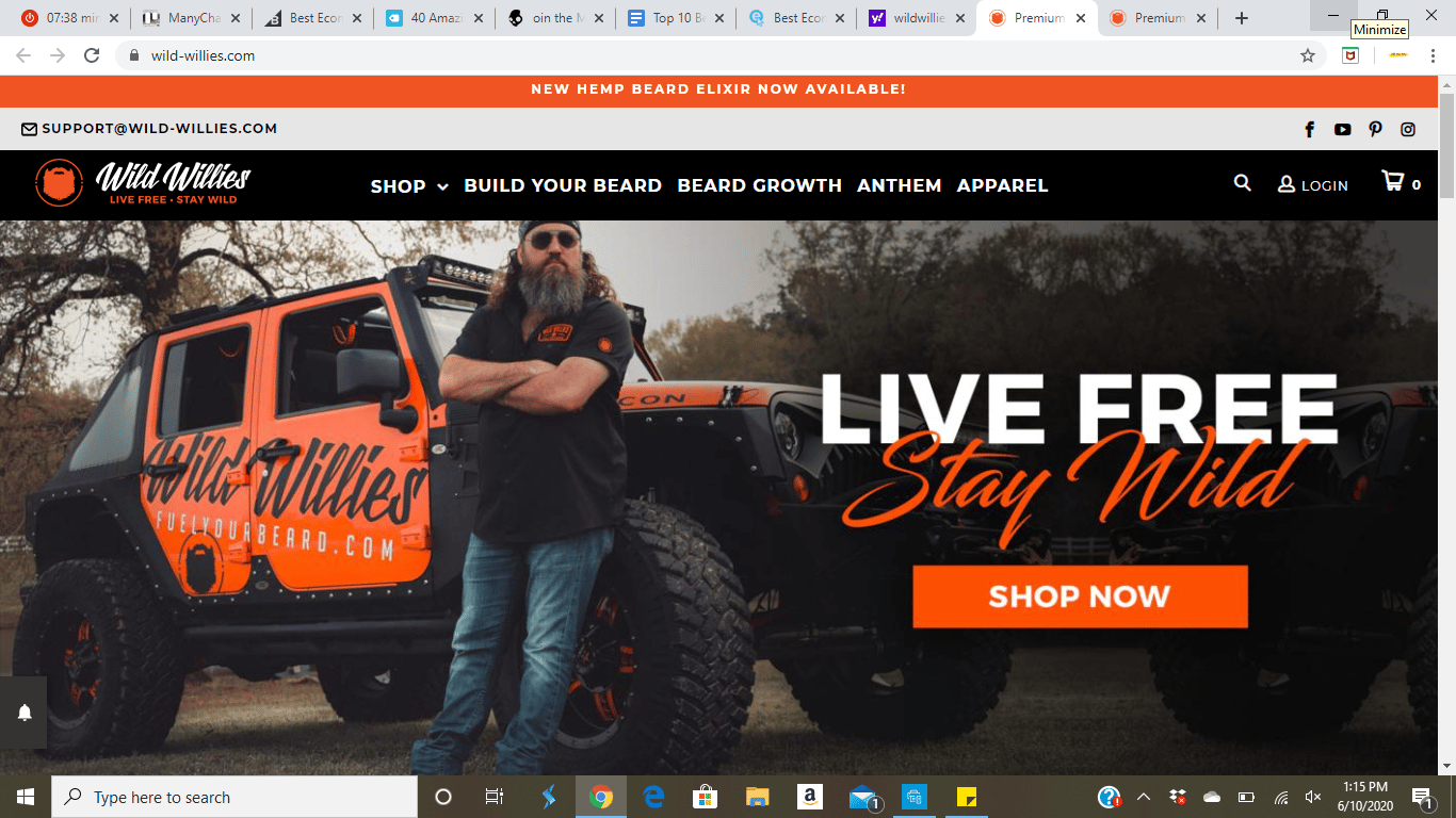 Wild Willies website