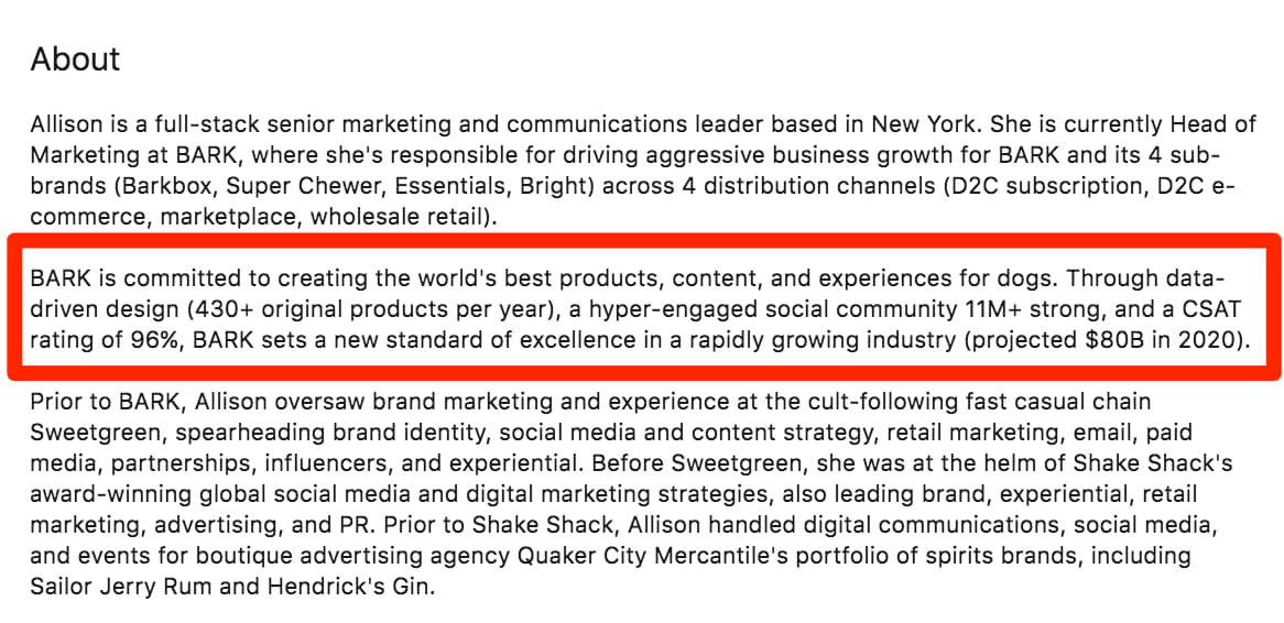 LinkedIn bio example