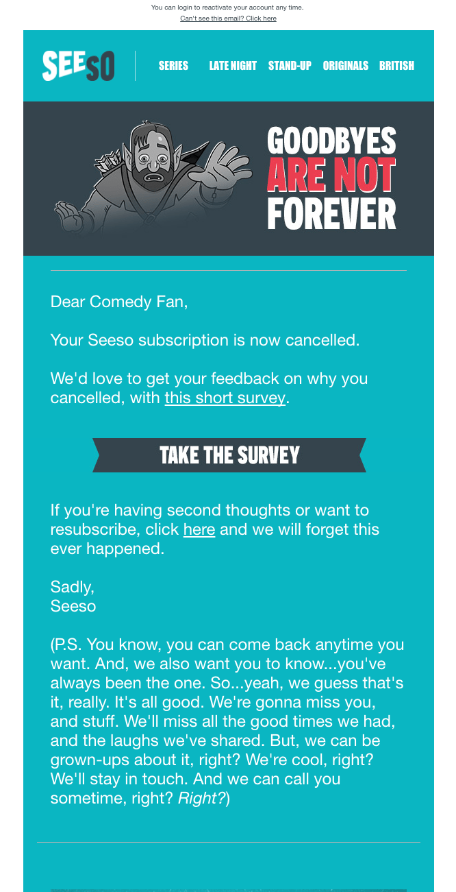 Seeso Customer Feedback Example