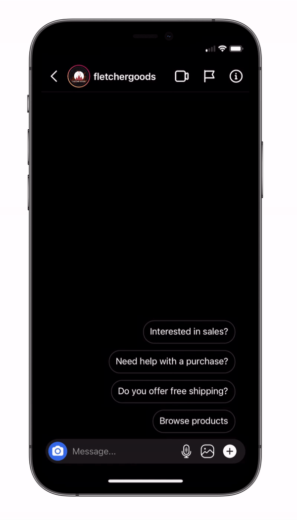 instagram chatbot