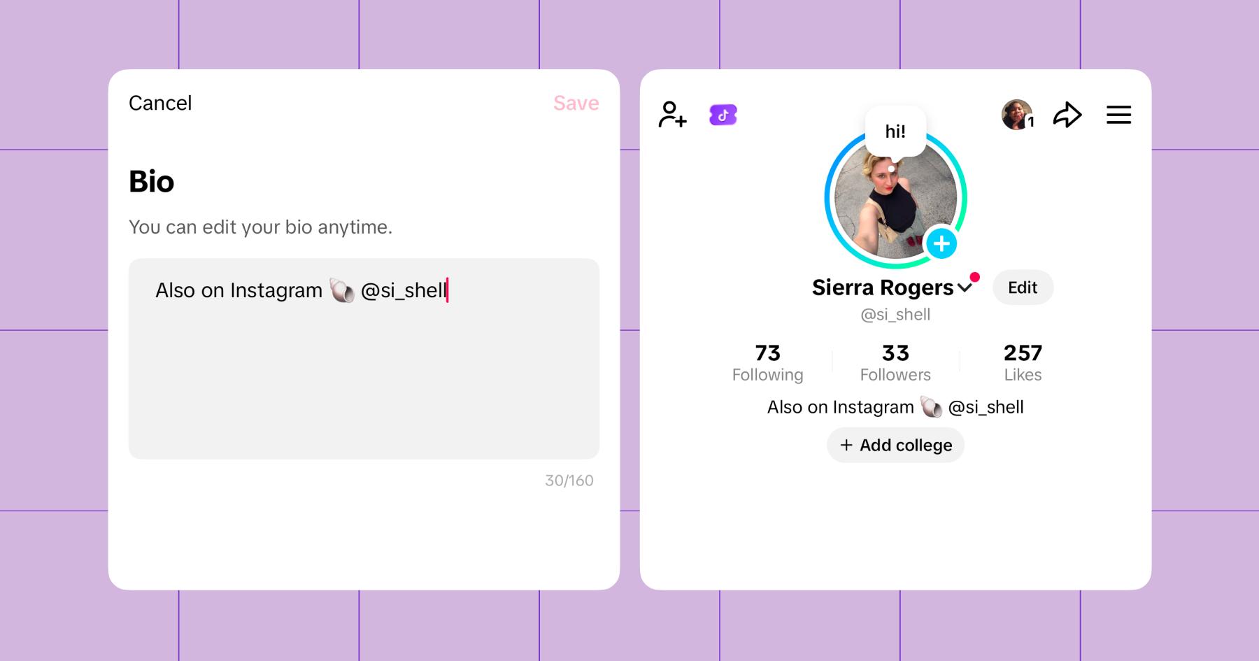Screenshot of adding an Instagram handle to a TikTok bio