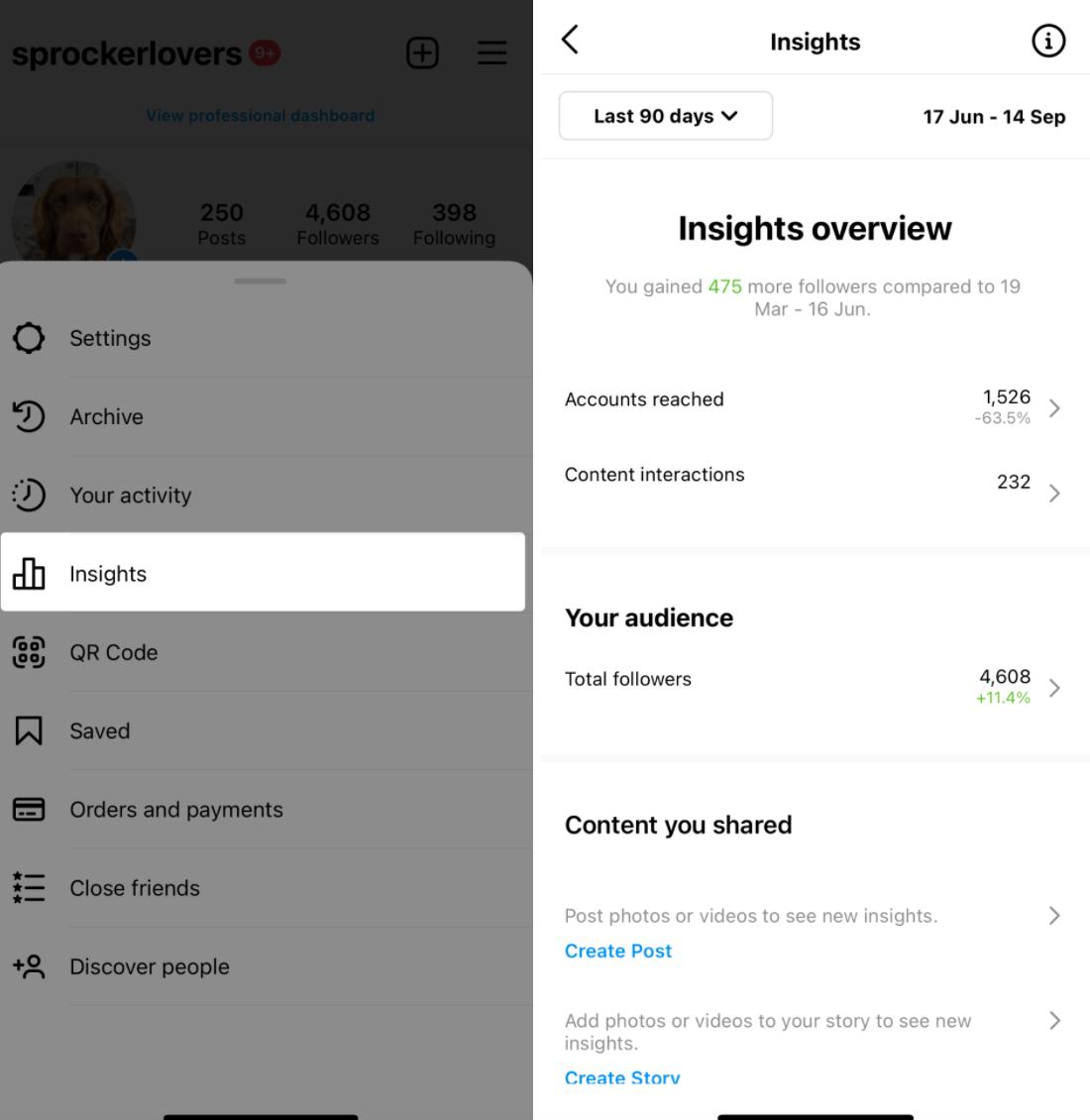 how to find instagram analytics