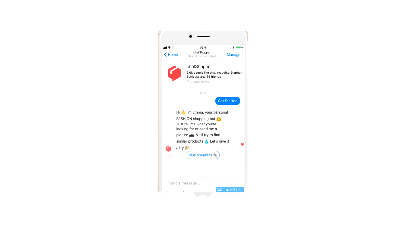 chatShopper example of demographic segmentation | Demographic Segmentation: What it is and How to Use It 