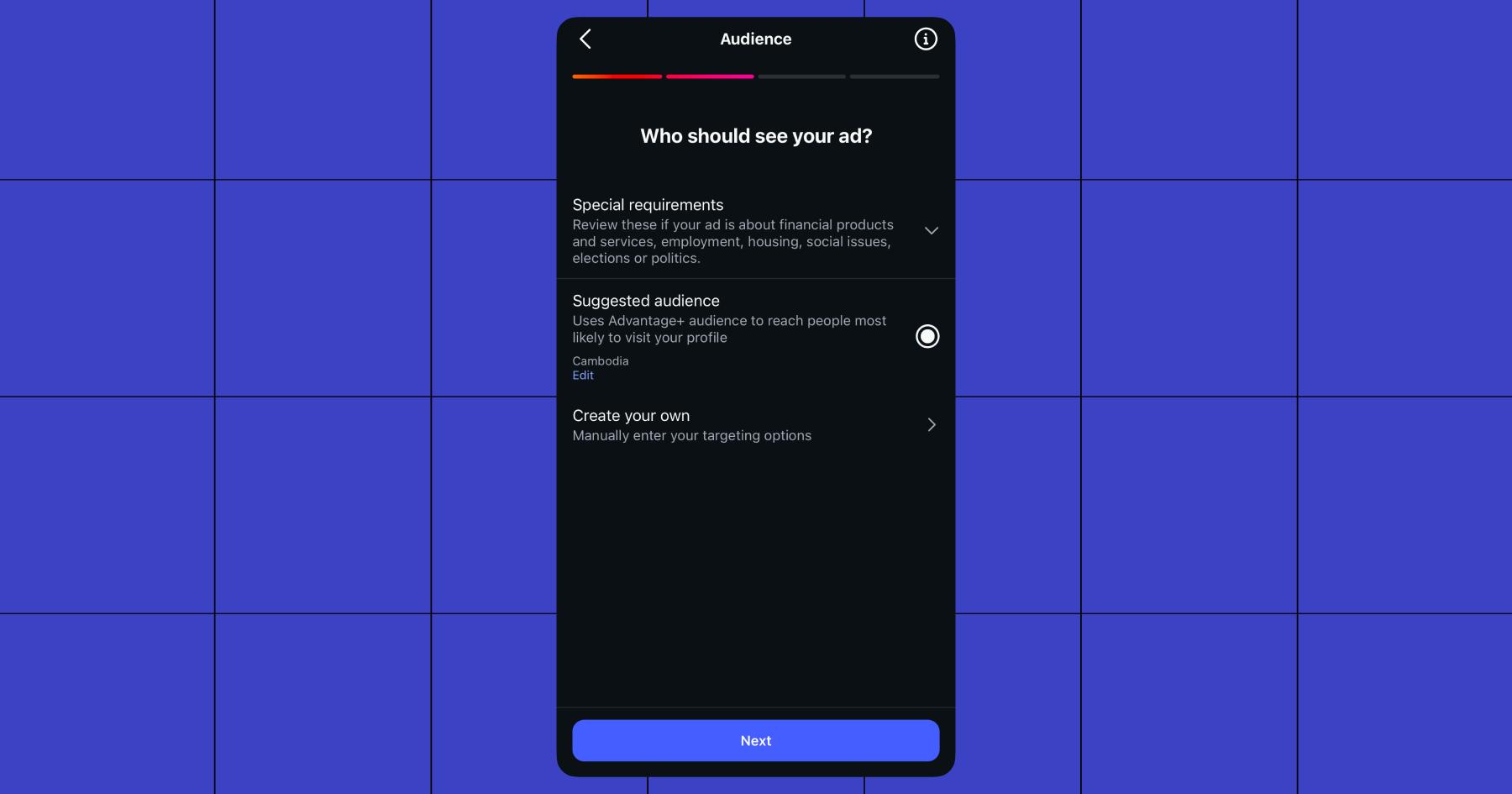 Screenshot of Audience options: "Who should see your ad?"