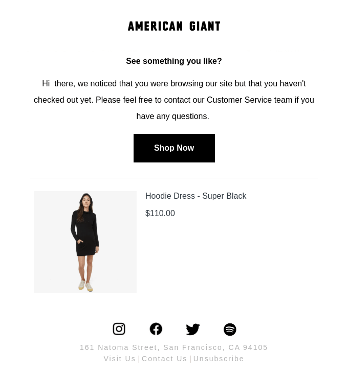 American Giant email example