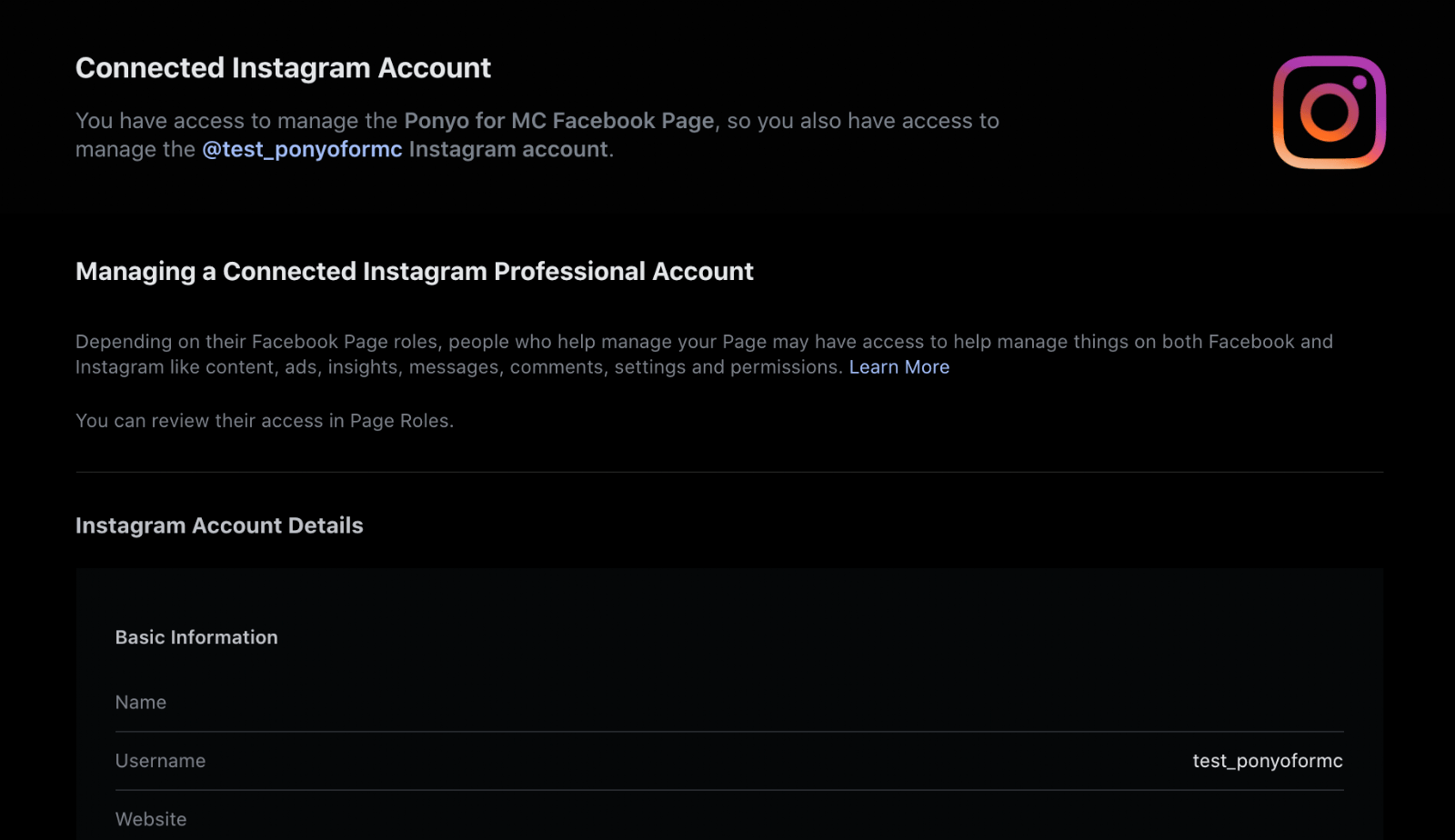 professional instagram account