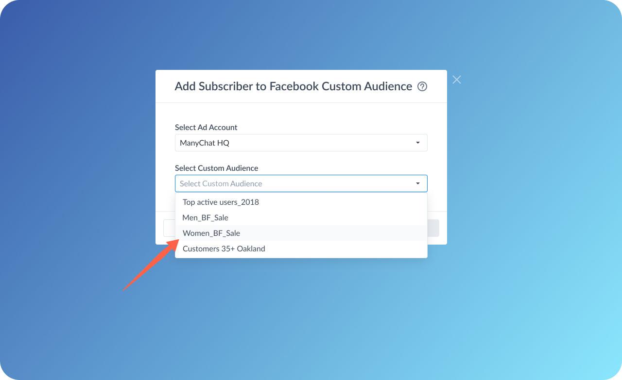 Choose the custom audience you'd like to add subscribers to
