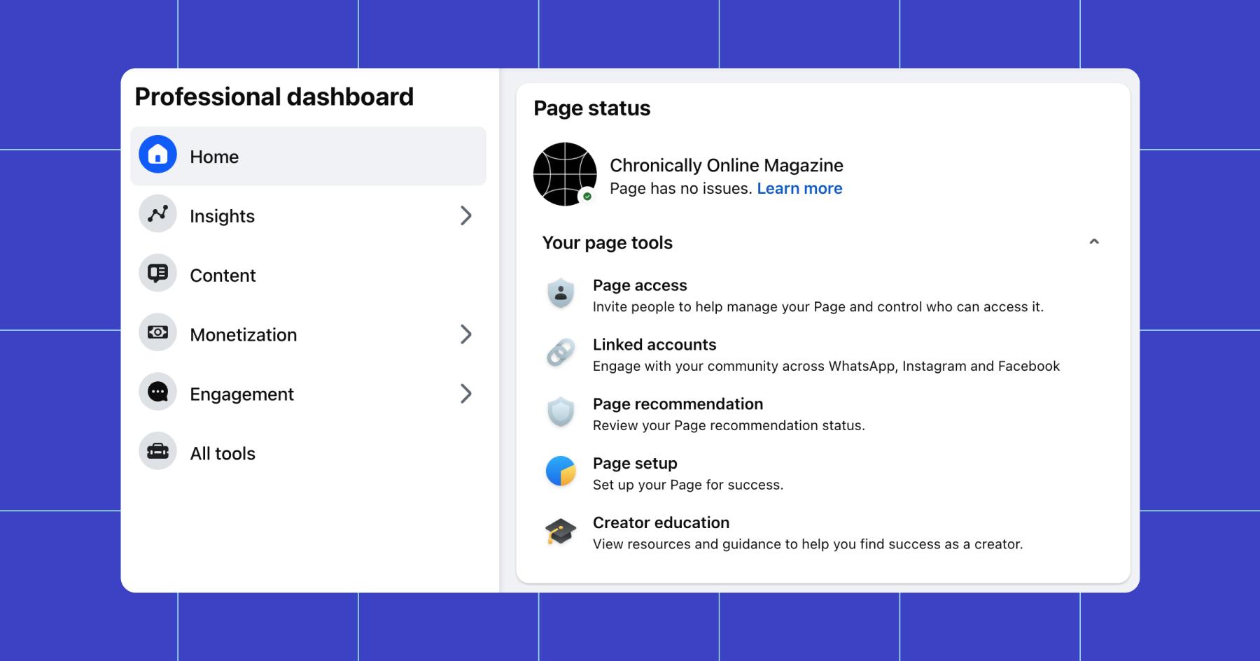 Screenshot of the Professional Dashboard in Meta Business Suite as seen using the Chronically Online Magazine account