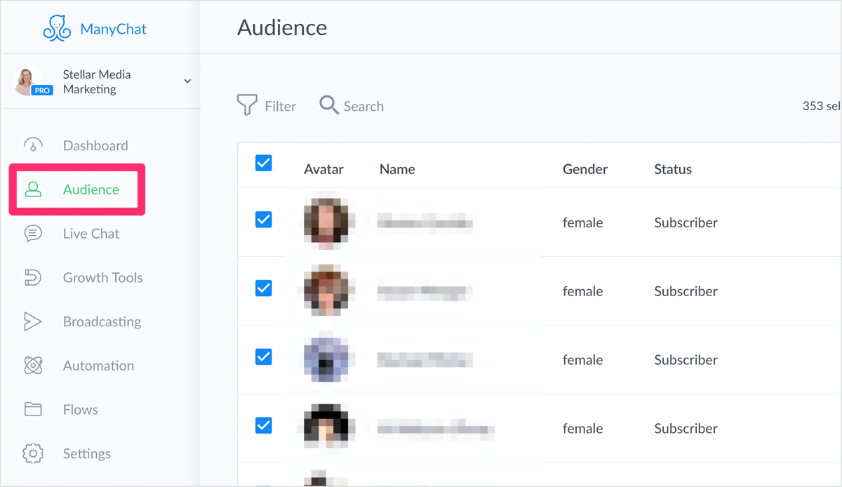 Manychat Dashboard Audience Segmentation Example | 6 Direct Response Marketing Examples to Try Now
