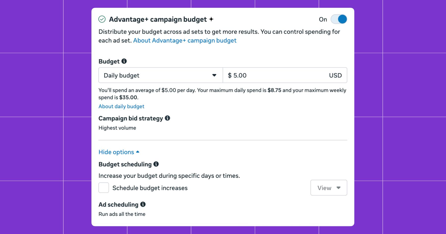 Screenshot of Advantage+ campaign budget options