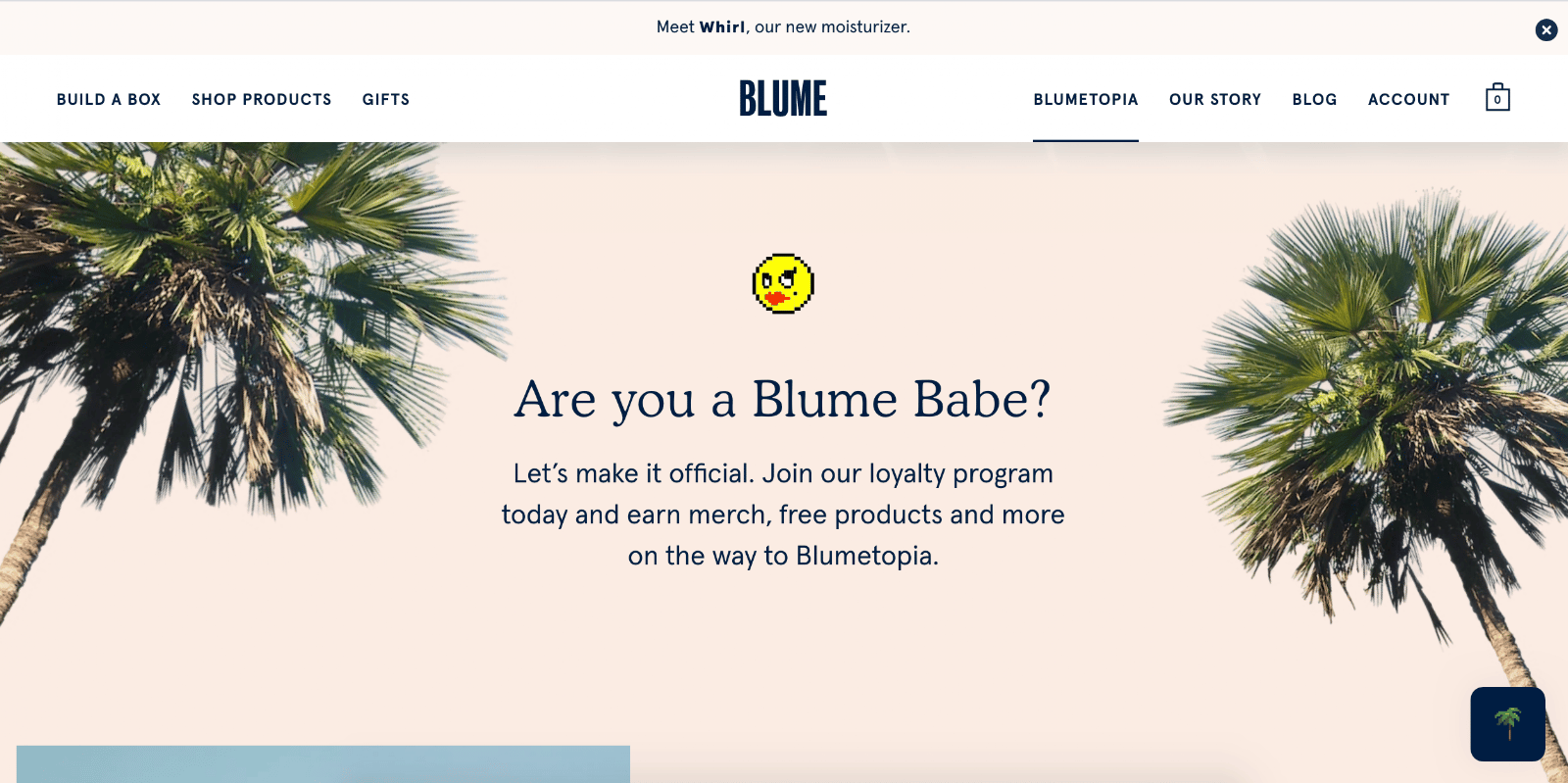 Blume Loyalty Reward Program