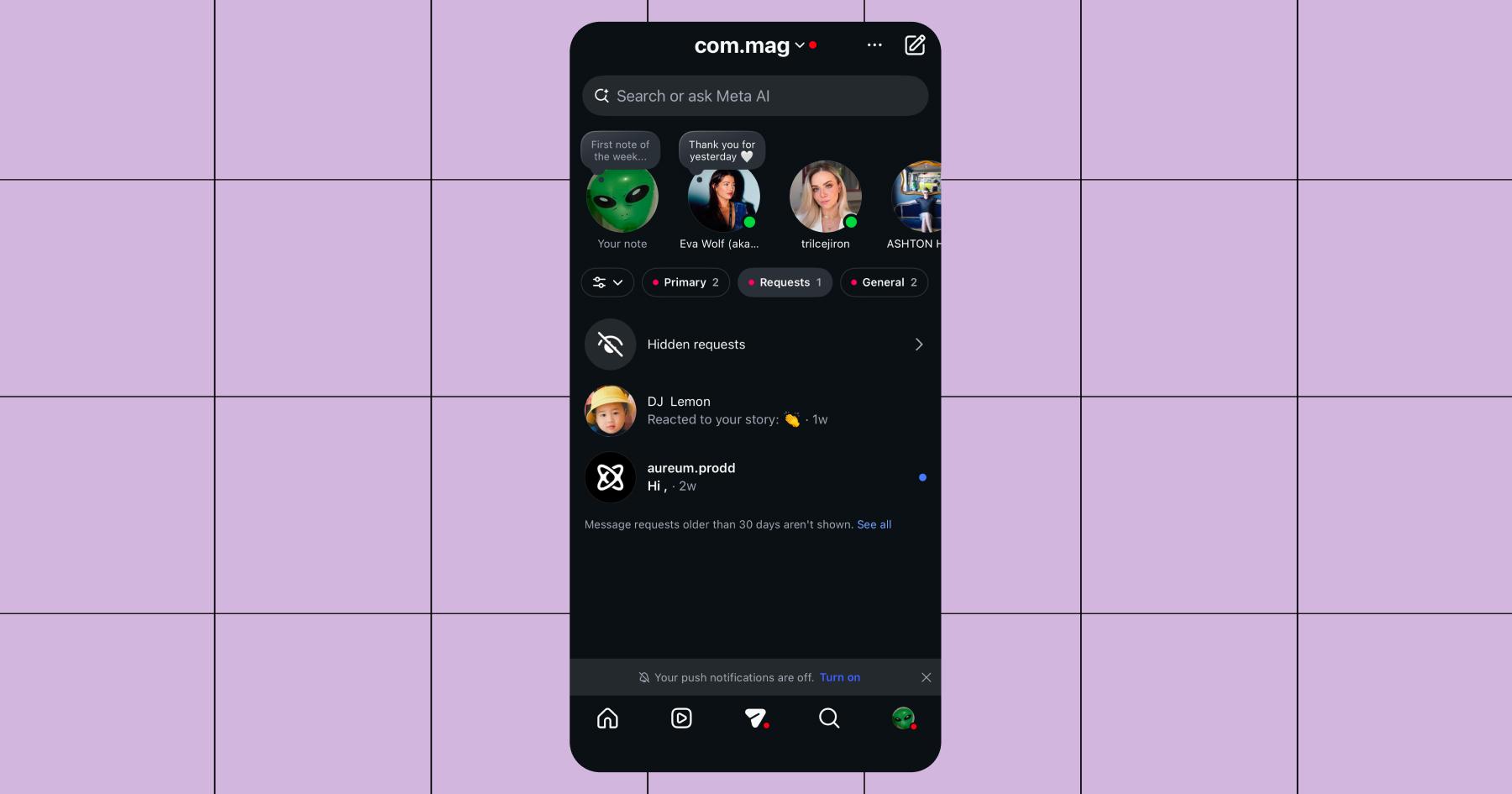 Screenshot of the "Requests" tab in the Instagram inbox