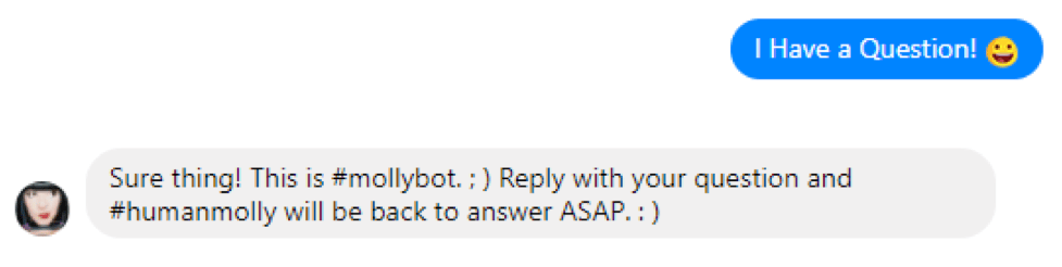 Molly Mahoney customer service messenger bot