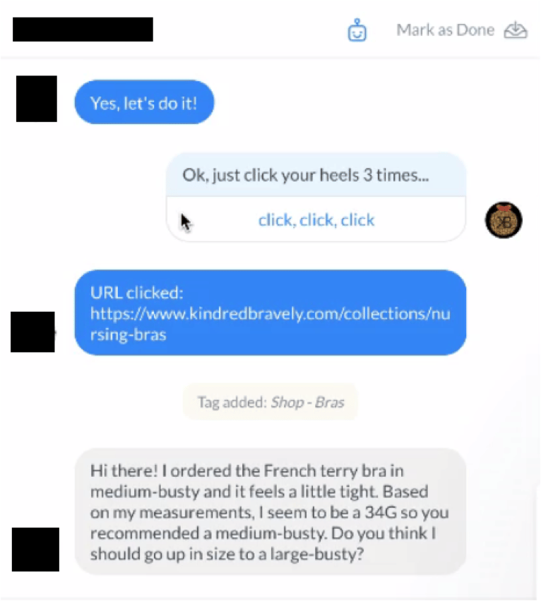 Manychat Live Chat | Kindred Bravely example