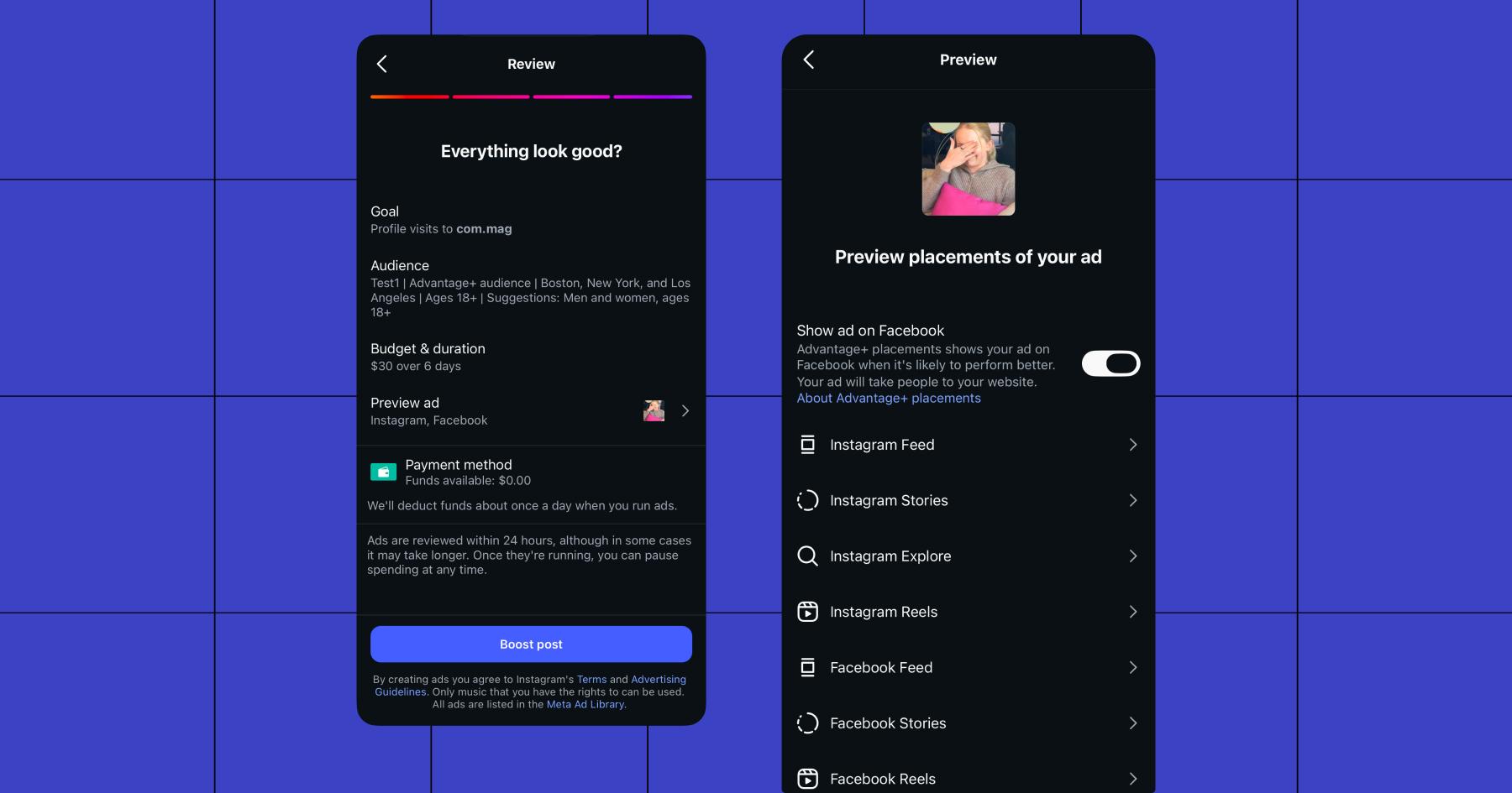 Screenshot of Review and Preview screens