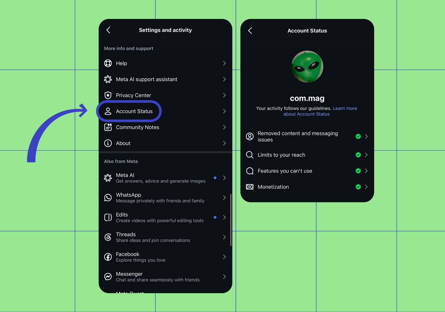 Screenshot of Instagram Account Status in the Settings menu