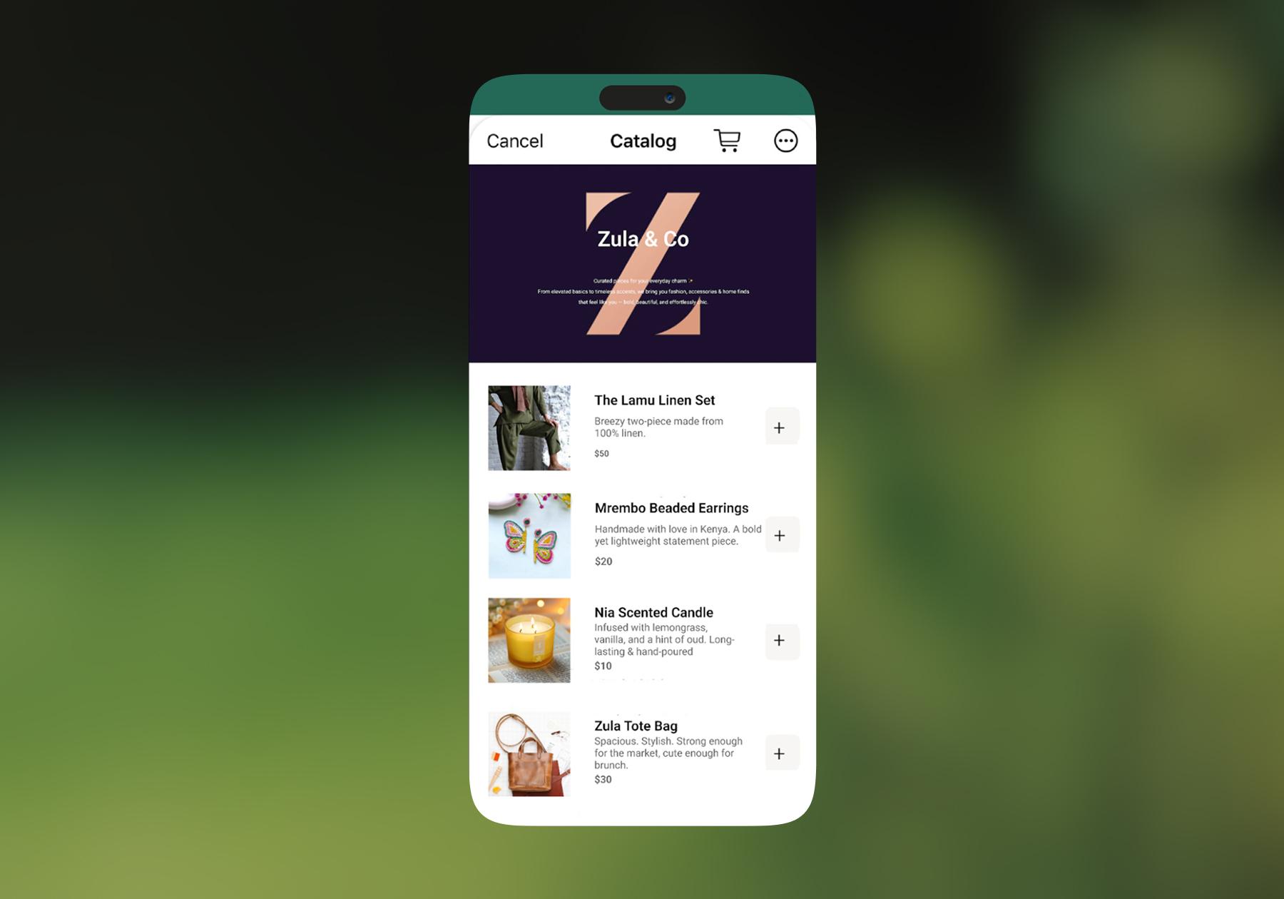 Screenshot of WhatsApp catalogue