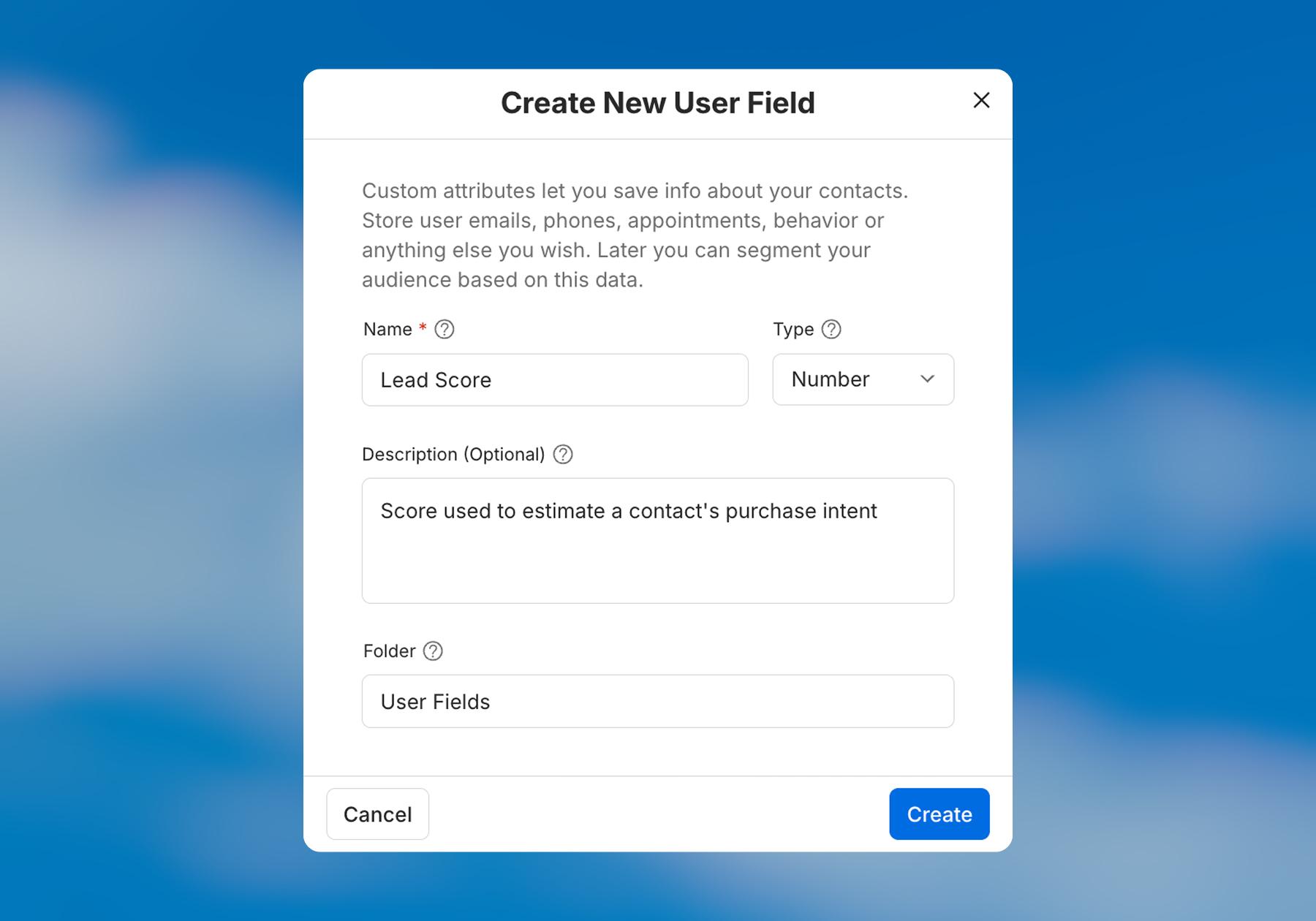 Screenshot of the options in a Create New User Field 