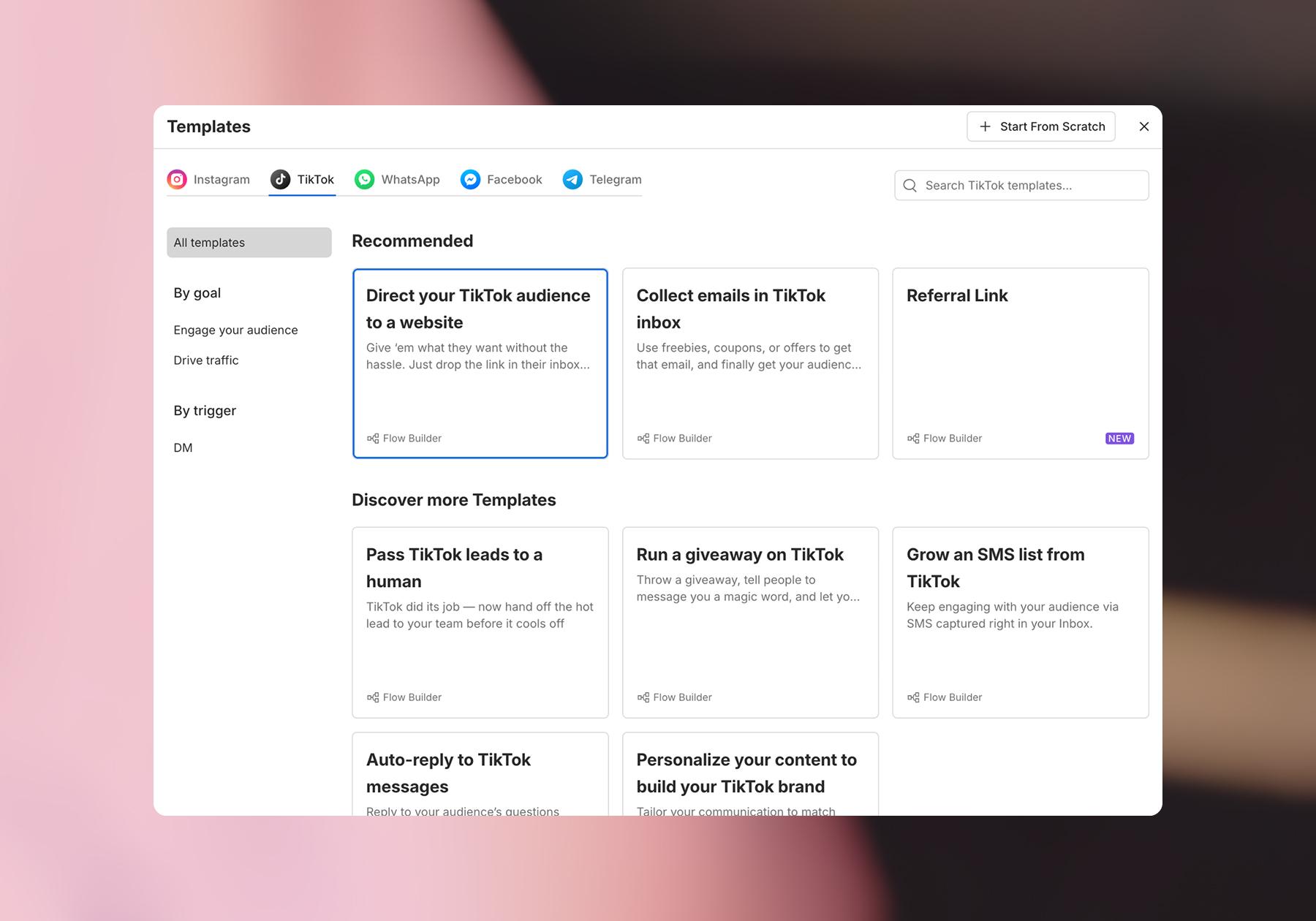 Screenshot of the “Direct your TikTok audience to a website” template