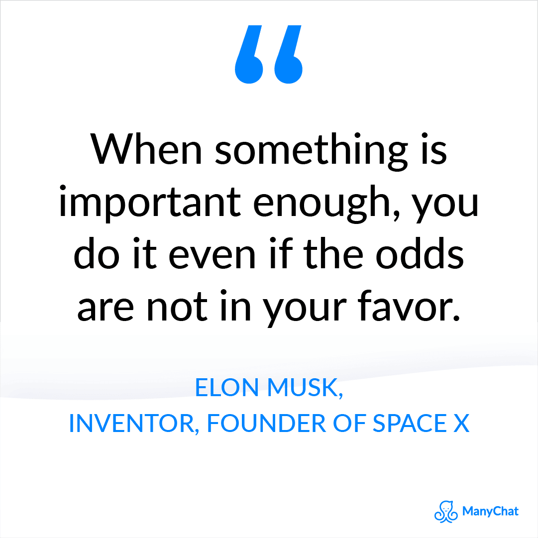 Entrepreneurial mindset quote by Elon Musk 